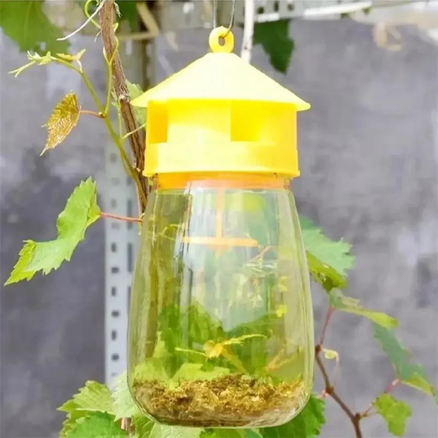 Plastic Fruit Fly Trap Killer for Drosophila, Orchard, Fly Bee Trap with Waterproof for Courtyard Garden - Confia - reusablefoodstoragebags confia