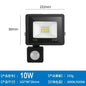 LED Floodlights 100W 50W 30W 20W 10W PIR Motion Sensor IP66 Waterproof LED 220V Hanging Exterior Outdoor Wall Lamp Spotlight - Confia
