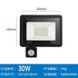 LED Floodlights 100W 50W 30W 20W 10W PIR Motion Sensor IP66 Waterproof LED 220V Hanging Exterior Outdoor Wall Lamp Spotlight - Confia