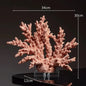 Creations Artificial Coral Decor Statue Home Decoration Desk Bookshelf Metal Sculpture Style B|Home Decor|Figurines - Confia