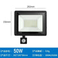 LED Floodlights 100W 50W 30W 20W 10W PIR Motion Sensor IP66 Waterproof LED 220V Hanging Exterior Outdoor Wall Lamp Spotlight - Confia