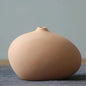 Plain Ceramic Vase Arrangement Creative and Minimalist Nordic Ins Style Decoration Pottery Props for Home Photography Plain Vase - Confia