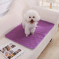Dog Pee Pad Reusable Absorbent Washable Puppy Training Pad Pet Bed Urine Mat for Pet Car Seat Cover Pet Supplies - Confia - reusablefoodstoragebags confia